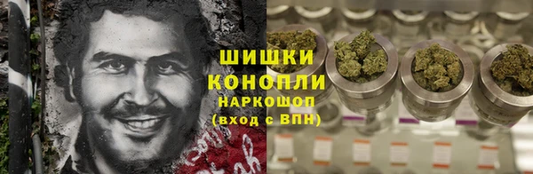 шишки Лагань