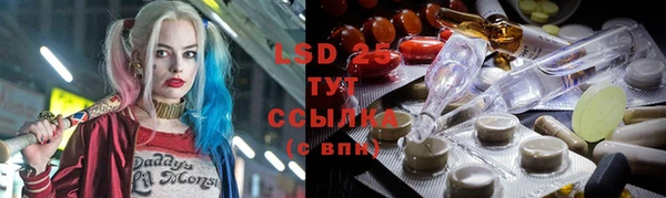 ECSTASY Ладушкин