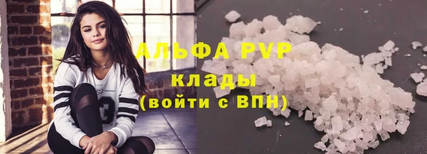 ECSTASY Ладушкин