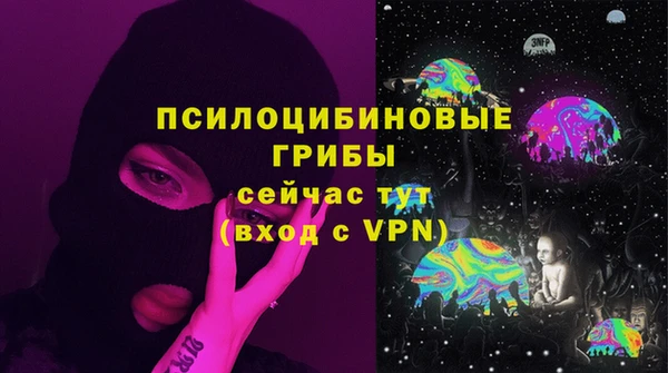шишки Лагань