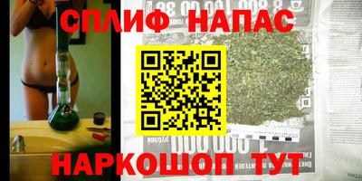 гидра Заволжье