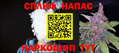 сатива Беслан