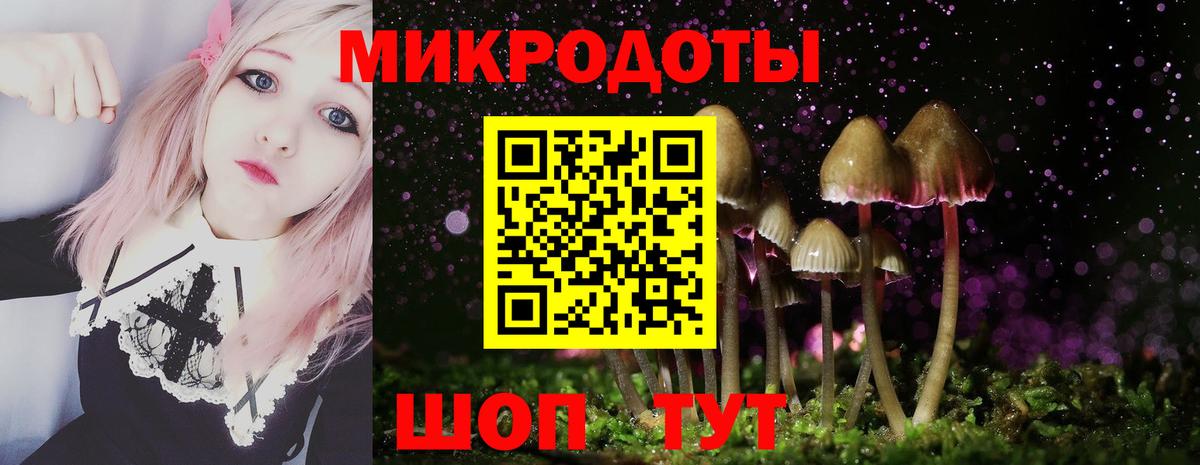 Галлюциногенные грибы Magic Shrooms  наркотики  Прохладный 
