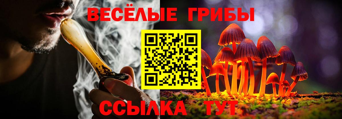 Псилоцибиновые грибы GOLDEN TEACHER Прохладный