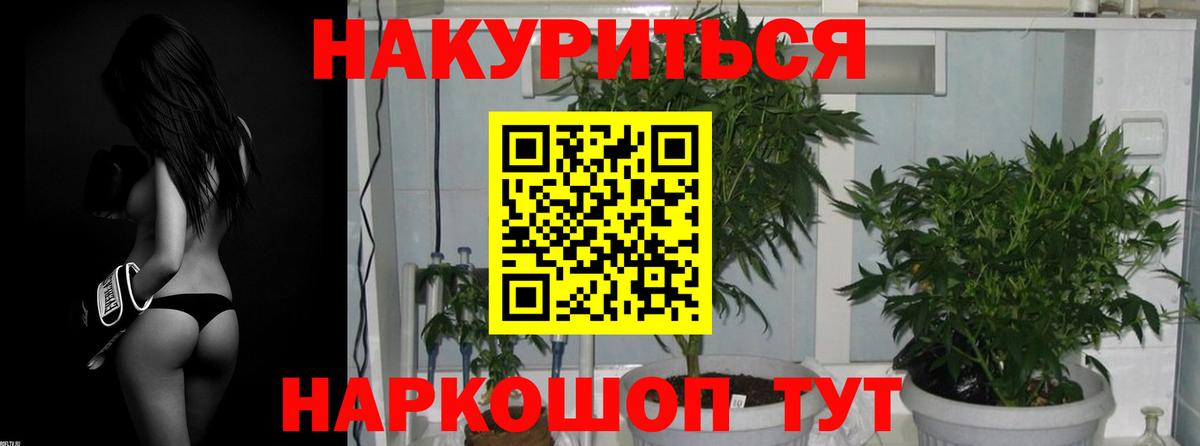 Конопля планчик  Бошки марихуана AK-47  МАРИХУАНА AK-47  Прохладный 